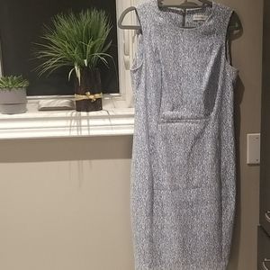 Calvin Klein Day Dress